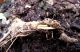 3-DSCF0033,ok,It.jpg