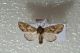 2012Nov05_0013.jpg