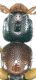 Sunius propinquus (Brisout, 1867) - Kopie.jpg