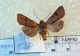 2012Nov17_0077.jpg