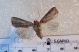 2012Nov17_0067.jpg