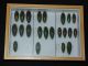 DSCF1751.JPG