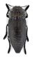 Comb0470_15jcr.jpg
