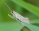 DSC_0729.JPG