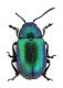 Comb0566_12jcr.jpg