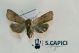 2012Dec02_0251.jpg