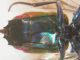 DSCN2767.JPG