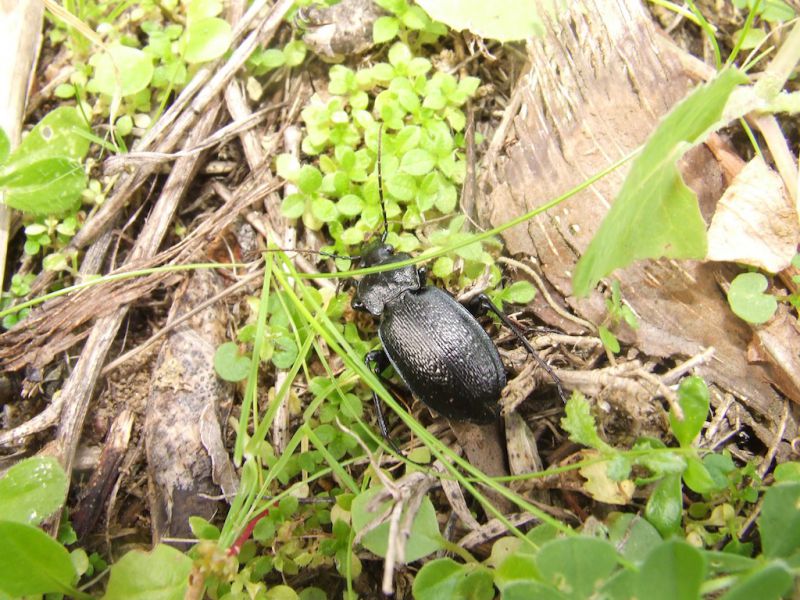 DSCF6935.JPG