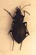 DSCF7010.JPG