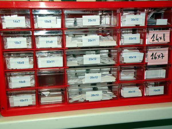 10-Box con i cartellini di Prochazka che attualmente uso per tutta la mia collezione e per tutti i tipi di insetti.JPG