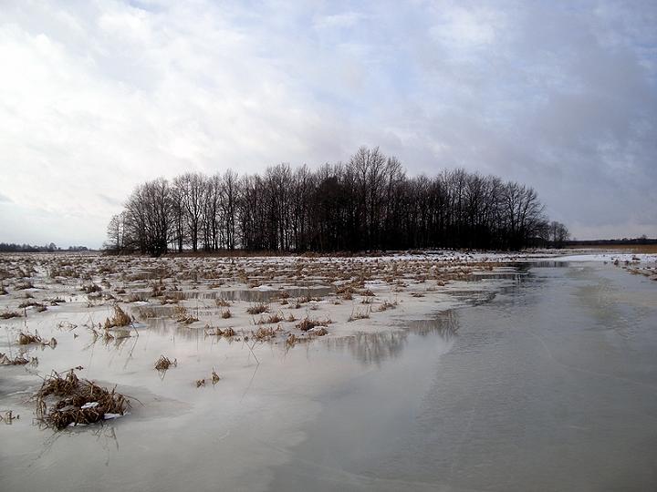 Biebrzańki PN_22 i 23. II. 2012 032.jpg