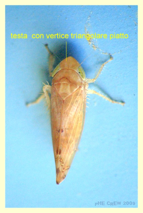 copia Soken.JPG