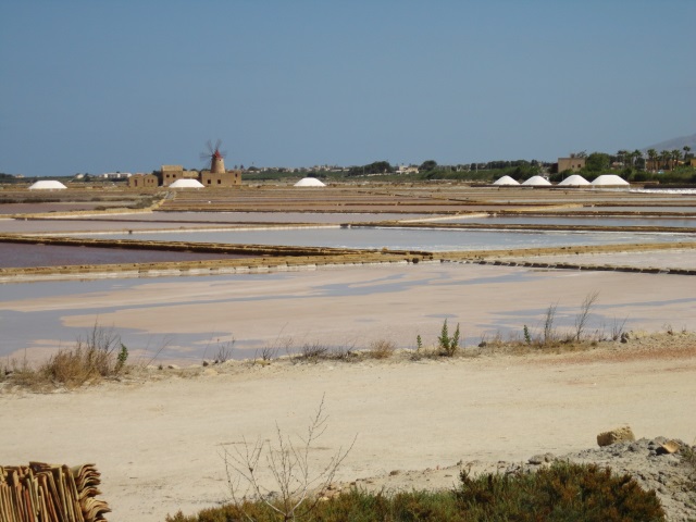 Stagnone saline 30-07-13 (2).JPG