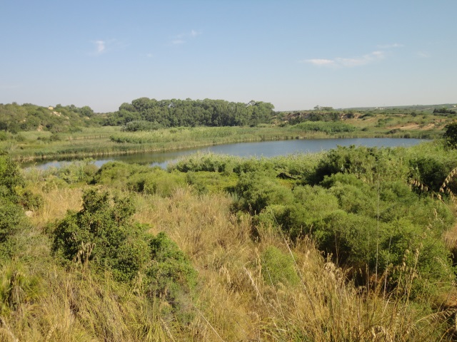 Gorghi tondi 27-07-13 (2).JPG