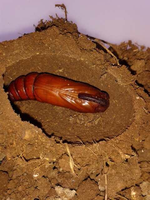 20130921_133339.jpg