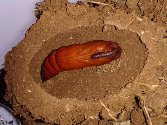 20130921_133330.jpg
