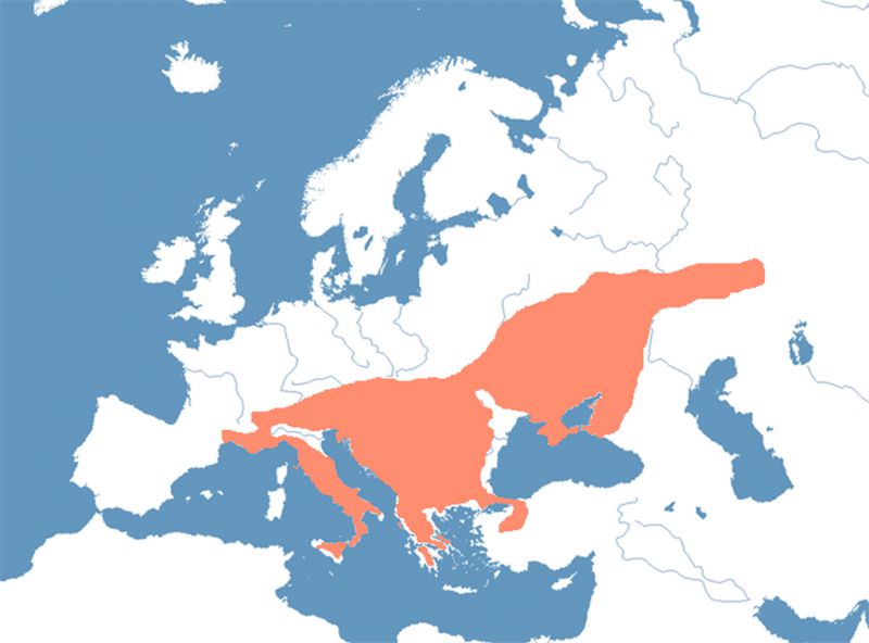 Zerynthia-corologia.jpg