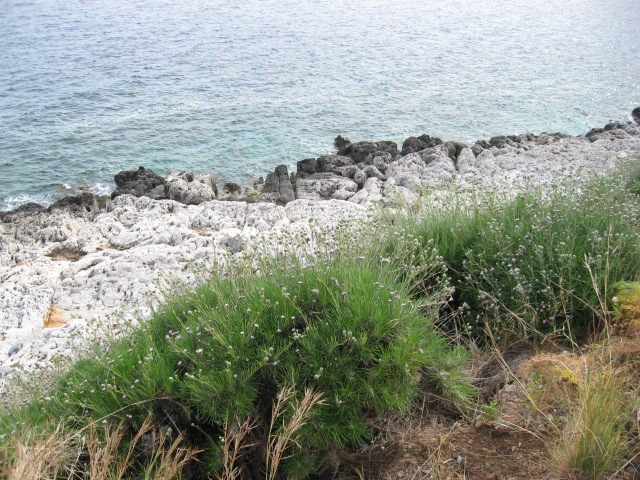 IMG_7862.JPG