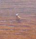 IMG_20140606_161120.jpg