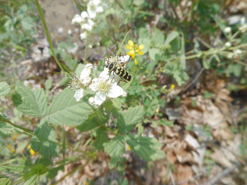 tn_DSCN1757.JPG