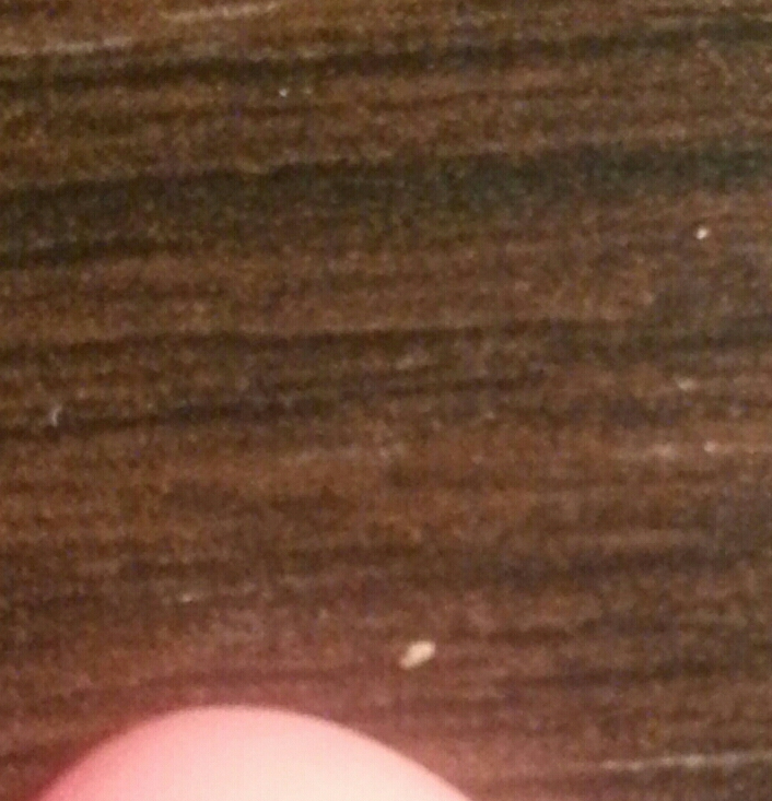 IMG-20140918-WA0012-1-1-1.jpg
