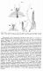 Franciscolo pag. 167.JPG