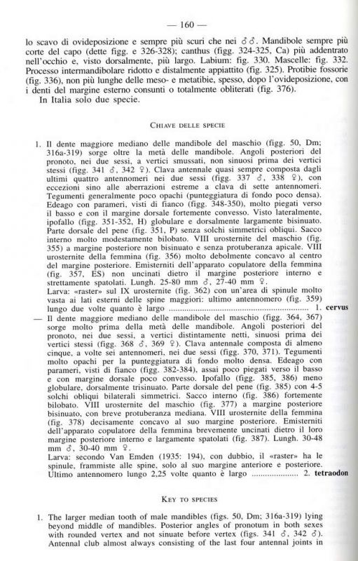 Franciscolo pag. 160.JPG