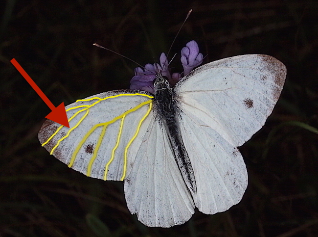 2010_08_13__008 copia.JPG