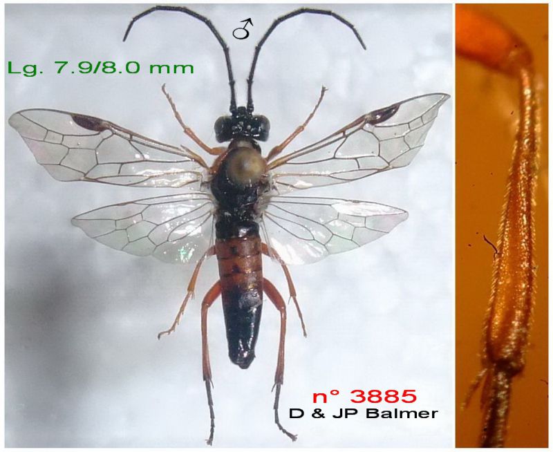 20 - n° 3885 M - Images - Image.jpg