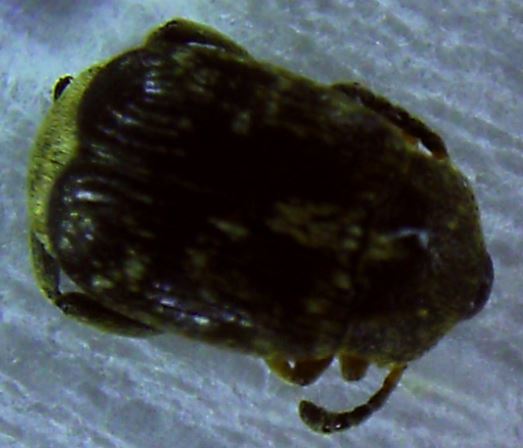 5.JPG
