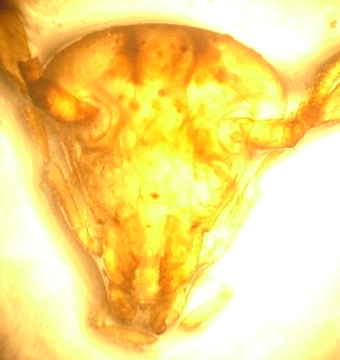 DSCF5921.JPG