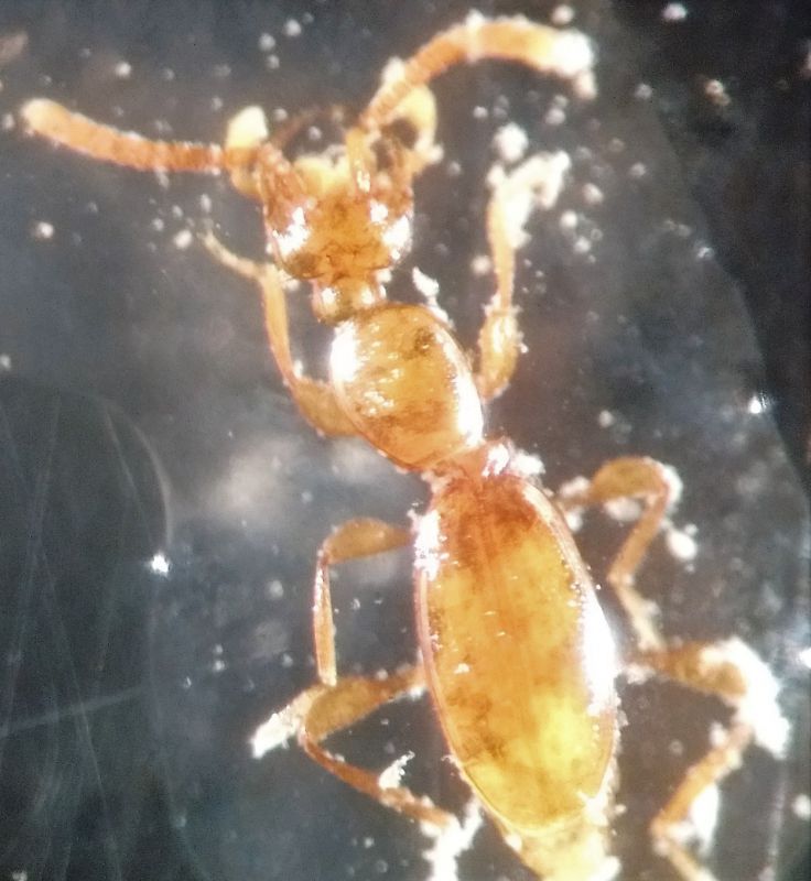 IMG_20180523_175726380 (2)-min.jpg