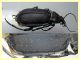 Calosoma maderae aeropunctatum (30).JPG