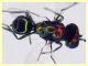 prob. Pediobius sp. 30.3.2026 - (119).JPG