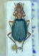 image_6B86CFB5-168B-4030-BE89-48A753A5D98D_1780263504.png