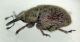 DSC05923.JPG