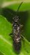 DSCF7608.jpg