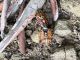 IMG_0704rid.jpg