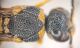IMG202609141857541.jpg
