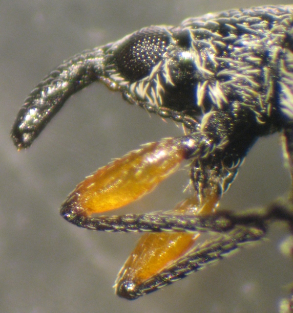 Copia di IMG_0006.JPG