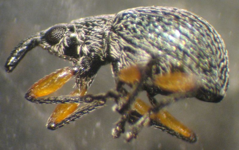 Copia di IMG_0005.JPG