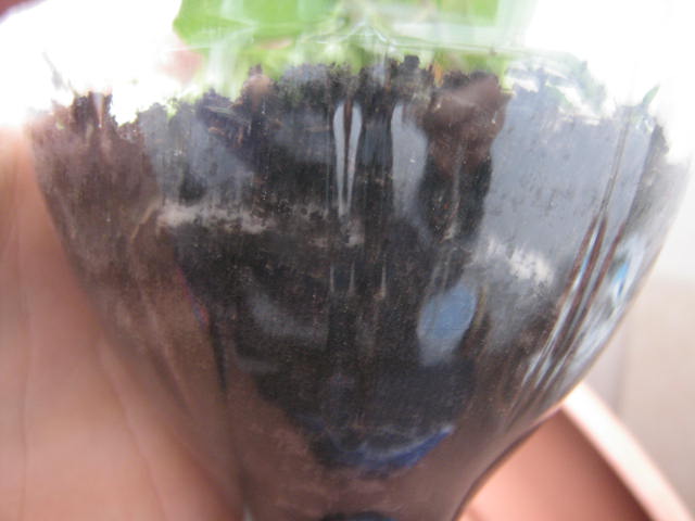 Immagine 009.jpg