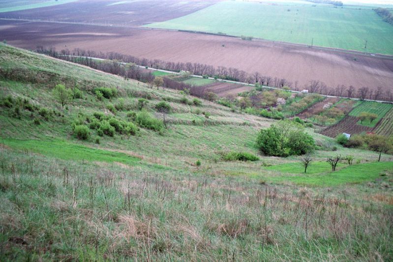 Pouzdřany 28-4-2005.jpg