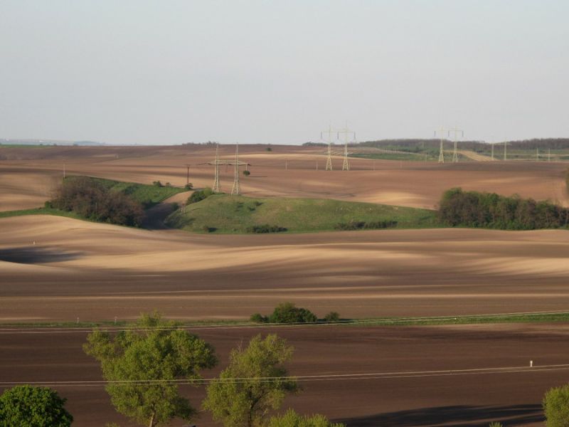 Čejč 1.jpg