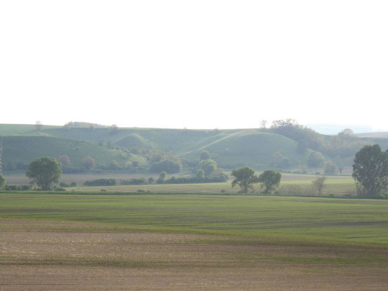 Čejč 2.jpg