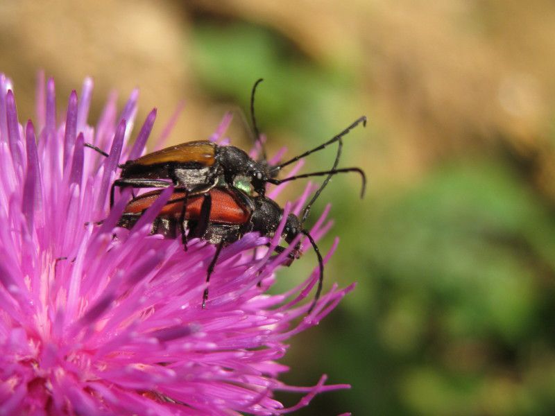 Z-0814L - F040.30 - Lella e Giancarlo - 18-20 LUG 2010 035.jpg