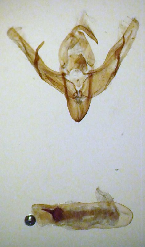 sa 016.jpg