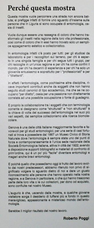 P1100030bis_dilettanti.jpg