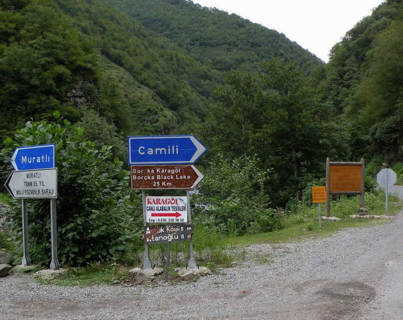 Turkey - Borcka - Bivio per Machael Gecidi - 26 Agosto 2009_2.jpg