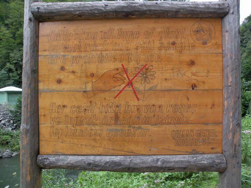 Turkey - Borcka - Bivio per Machael Gecidi - 26 Agosto 2009_1.jpg